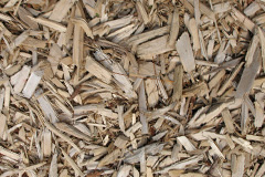 biomass boilers Danesfield