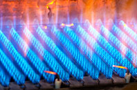 Danesfield gas fired boilers